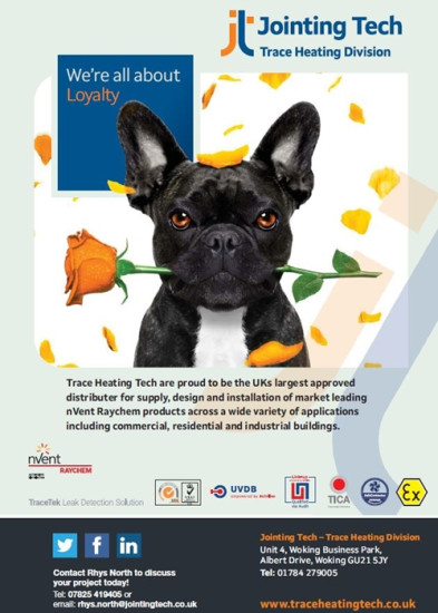 We’re all about Loyalty!
