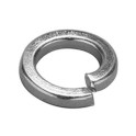 BZP Spring Washers