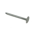 Galvanised Clout Nail