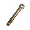Sleeve Anchor (Loose Bolt)