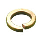 Brass Spring Washers (Phosphor Bronze)
