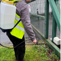 ProSolve Pressure Sprayer 20L c/w Attachments